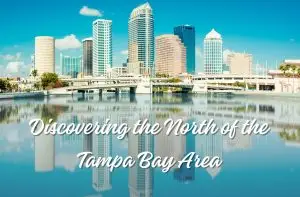 Home 55 gems in Tampa Bay's North